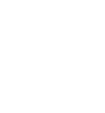 TIN